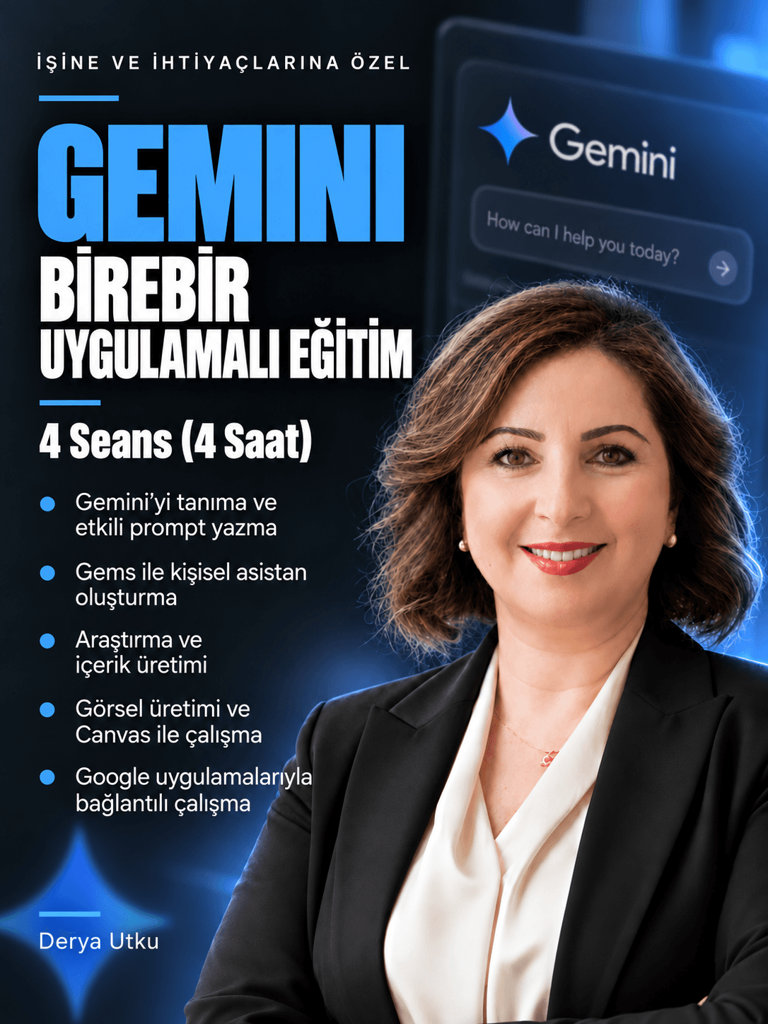1:1 Gemini Training